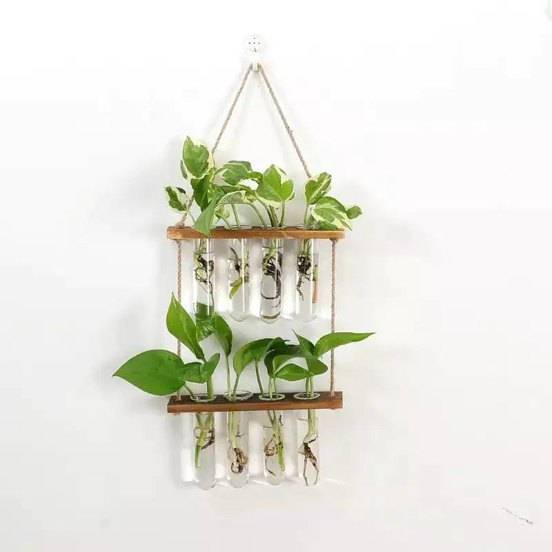 Test Tube Propagation Station - Living Elephant