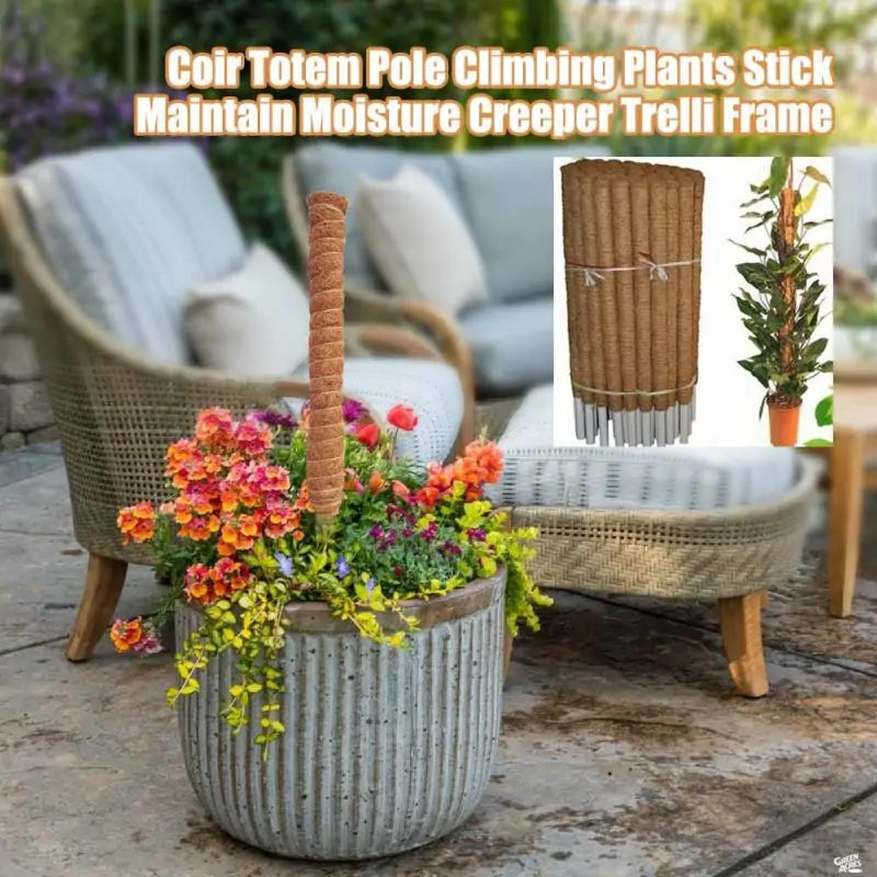 Plant Climbing Coconut Totem Pole - Living Elephant