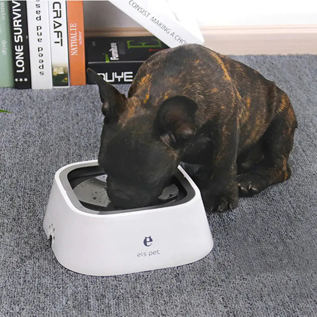 Anti-Spill Pet Water Bowl - Living Elephant