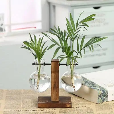 Plant Propagation Station - Living Elephant