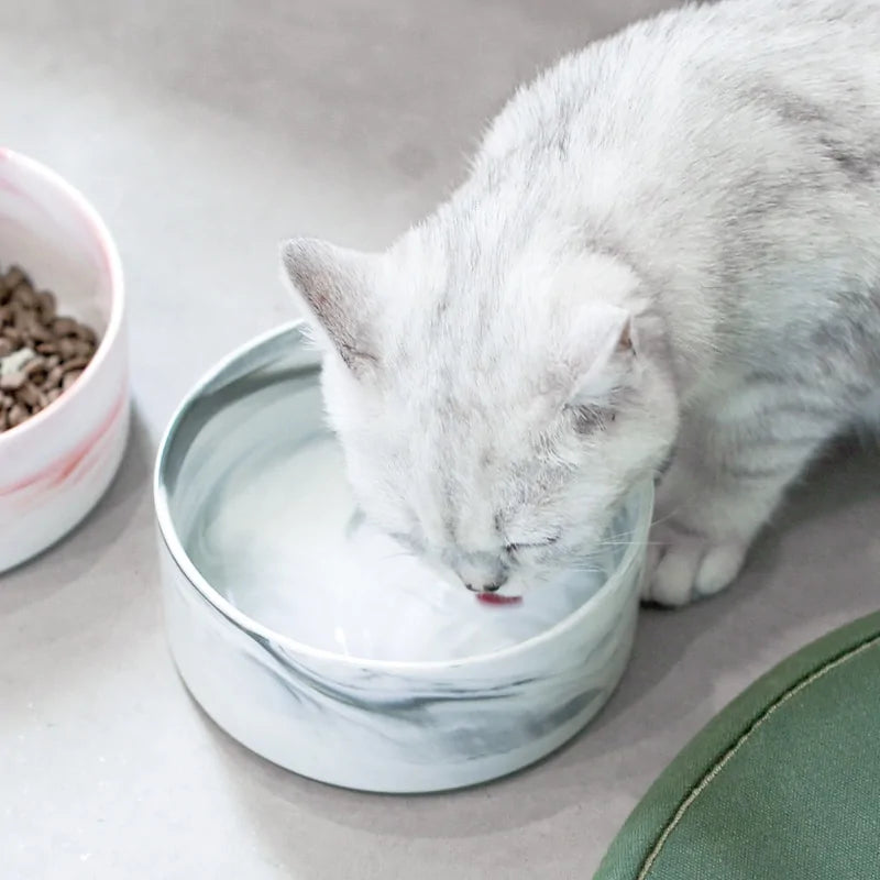 Marbling Ceramic Double Bowl For Pet - Living Elephant